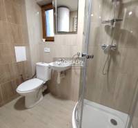 Fürdőszoba garzonlakásban WC-vel, mosdóval, zuhanyzóval és ablakkal.