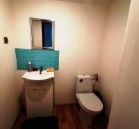 WC egy családi házban mosdóval, tükörrel és kék csempével.
