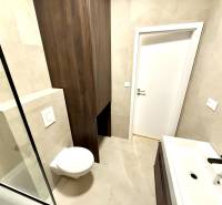 Fürdőszoba a garzonlakásban függesztett WC-vel és modern mosdóval.