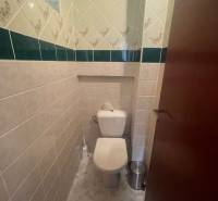 WC a családi házban, kerámia burkolatokkal és zöld hangsúlyokkal a falakon.