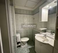Fürdőszoba zuhanyzóval, mosdóval és WC-vel egy egyszobás lakásban.