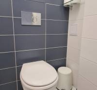 Kék-fehér csempékkel burkolt WC, üvegpolccal és WC-papírral.