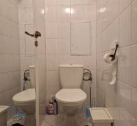 WC egy 2 szobás lakásban fehér csempékkel, fekete szőnyeggel és tisztítószerekkel.