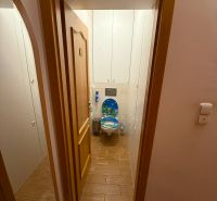 WC csempével és dekoratív ülőkével egy háromszobás lakásban.