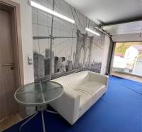 Szoba egy családi házban fehér kanapéval, híd tapétával és kék szőnyeggel.