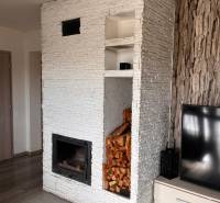 Családi ház belső tere kandallóval, TV-vel és fával, fa dekorációjú padlóval.