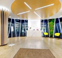 Irodák fa dekorációval, színes székekkel és zöld fallal.