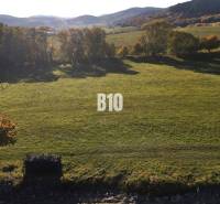 Egy Petrovice-i telek buja természettel körülvéve, ideális lakhatásra.