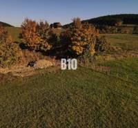 Telek Petrovicén lakhatásra, fákkal körülvéve őszi színekben.