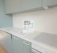 Konyha egy kétszobás lakásban mosogatóval, indukciós főzőlappal és fa dekorációjú padlóval.