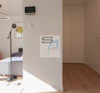 2 szobás lakás belső tere fa dekor padlóval, kör alakú csillárral és szürke kanapéval.