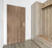 Előszoba tárolóhellyel és fa dekorációjú padlóval egy kétszobás lakásban.