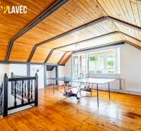 Marek Plavec Slatinské Lazy web-58.jpg