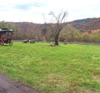 Zöld terület fa szekérrel egy családi ház mellett Rykynčice-ben, fákkal körülvéve ősszel.