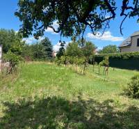 Kert gyepes területtel és szőlővel Pozsonyban - Dunajská Biskupicén, ideális lakóingatlanok számára.