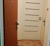 Egyszobás lakás előszobája járólappal és két ajtóval.