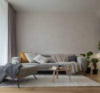 Nappali egy háromszobás lakásban kanapéval, asztallal, növényekkel és fa dekorációjú padlóval.