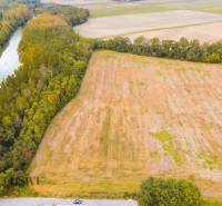 4 - 2025-10-24T092038.164.jpg