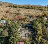 Dombos táj a Pozsony melletti kertekben a Devényi Visszaúton lombhullató fákkal.