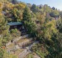 Egy házikó fákkal körülvéve a kertekben a Spätna úton Pozsony - Dévényben.