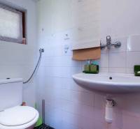 Fürdőszoba zuhanyzóval és mosdóval, Kertek. Fehér csempék és zöld kiegészítők.