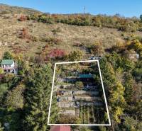 Ősz a kertekben a Visszaúton, Pozsonyban - Dévény alatt, az erdős dombon.