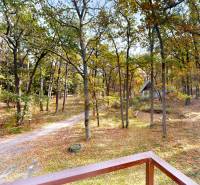 Az erdei környezet a Gazárka melletti házikónál, Sasvár-Strázsán, őszi lombbal és ösvénnyel.