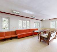 Világos nappali kanapékkal és asztalokkal, nagy ablakok, kilátás az erdőre.