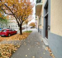 Őszi utca Drevny trh Kassán, Óváros, fákkal szegélyezve lehullott levelekkel.