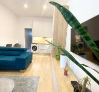 Belső fotó egy kétszobás lakásról, fa dekor padlóval, kék kanapéval és növényekkel.