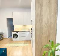 Modern konyha egy kétszobás lakásban, fa dekorációjú padlóval és növénnyel.