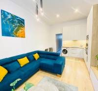 Nappali egy kétszobás lakásban kék kanapéval és fa dekorációjú padlóval.