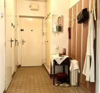 Előszoba egy háromszobás lakásban falra szerelt fogassal és tükörrel.