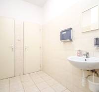 Iroda mosdóval, adagolókkal és tükörrel. Fehér csempék, világos padló.