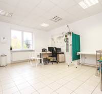 Világos iroda íróasztallal, székekkel, növénnyel és térképpel a falon.