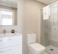 A nyaraló apartman fürdőszobája WC-vel, mosdóval és zuhanyzóval.