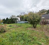 Családi ház Szereden a Topoľová utcában, virágzó rózsákkal és fákkal a kertben.