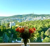 Narancssárga rózsák csokra vázában az ablakpárkányon, kilátással a fás bratislavai tájra.