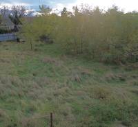 Zöldterületek és fák Gajaryban lakóövezeti telkeken.