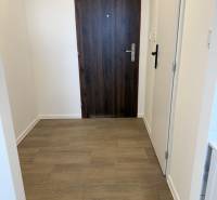 Garzonlakás belső tere bejárati ajtóval és fa dekorációjú padlóval.