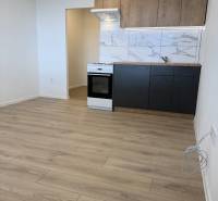 Garzonlakás konyhasarokkal, tűzhellyel és fa mintázatú padlóval.