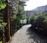 Erdészeti út, amelyet fák vesznek körül Terchován, egy hegyi környezetben lévő házikóhoz vezet.