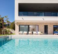 Villa medencével, pálmafákkal, terasszal és napozóágyakkal a háttérben.