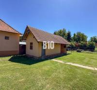 Családi ház Újszálláson tágas udvarral, egy kis gazdasági épület mellett.