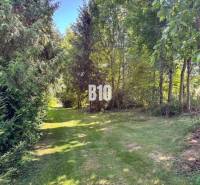 A családi ház kertje Újszádon fákkal körülvéve és füves ösvénnyel.