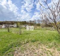 Telkek - lakóhely Jelenecen gyümölcsfákkal és házakkal a háttérben kék ég alatt.