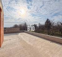 Kilátás a családi ház teraszáról a kertre és a fákra.