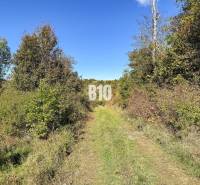 Ház Lackovban, amelyet természet és zöld út vesz körül, amely az erdőhöz vezet.