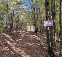 Magánterület, belépni tilos.