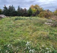 Zöldterület lakóövezetben Tardoskedden, háttérben házakkal és fákkal.